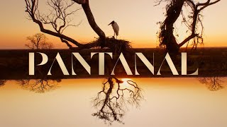 Pantanal: a abertura da nova novela das 21h! 🐆 | TV Globo