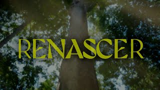 Renascer: a abertura da minha nova novela das 9! 🌱 | TV Globo