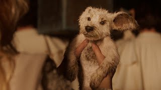 Supergirl l Casa Dublado